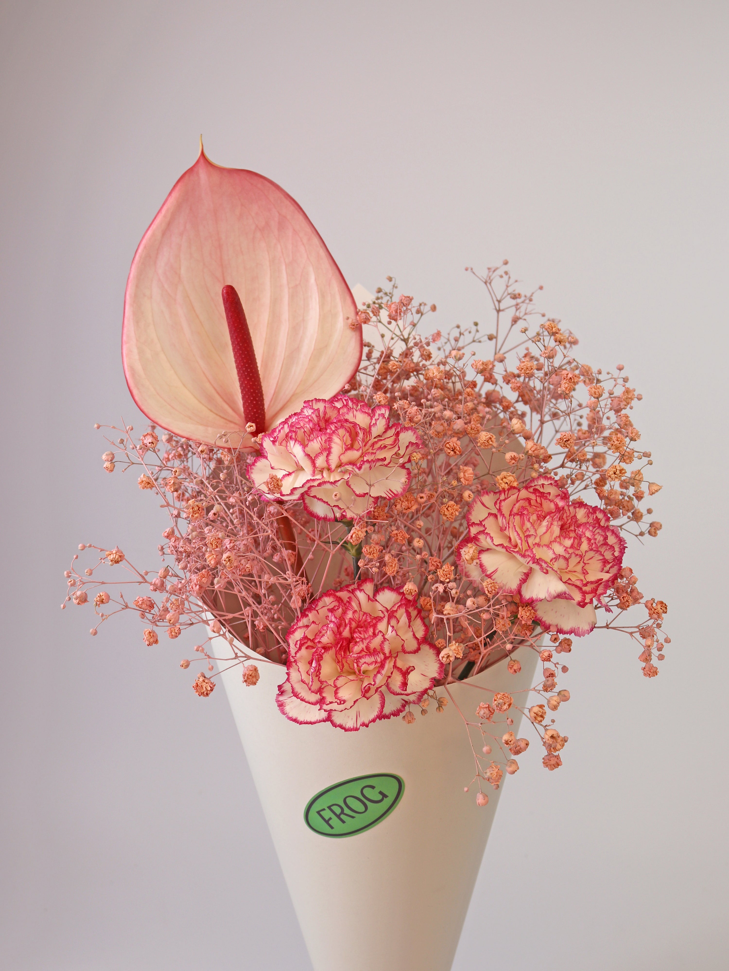 Raspberry Ripple