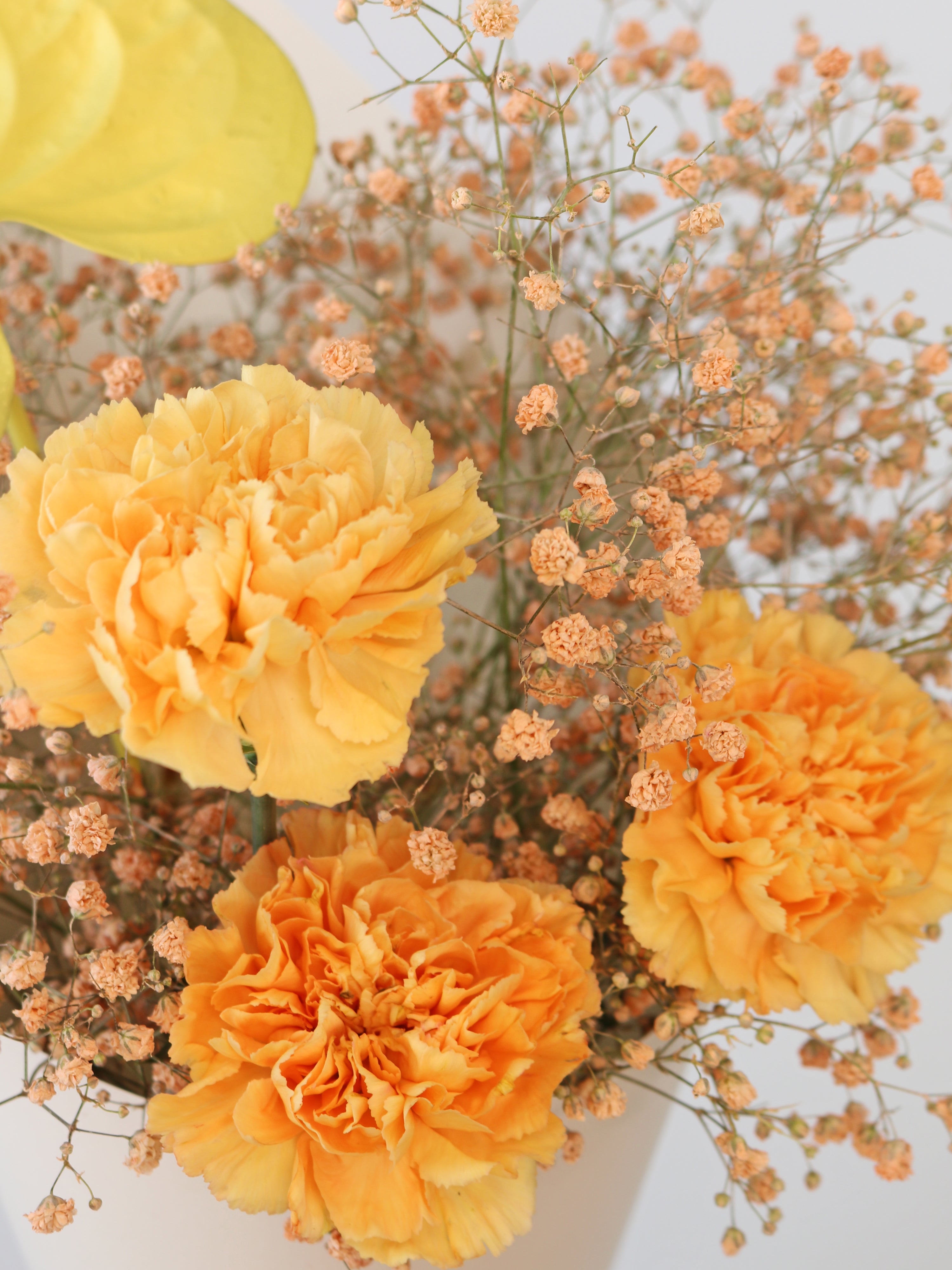 Peach Melba