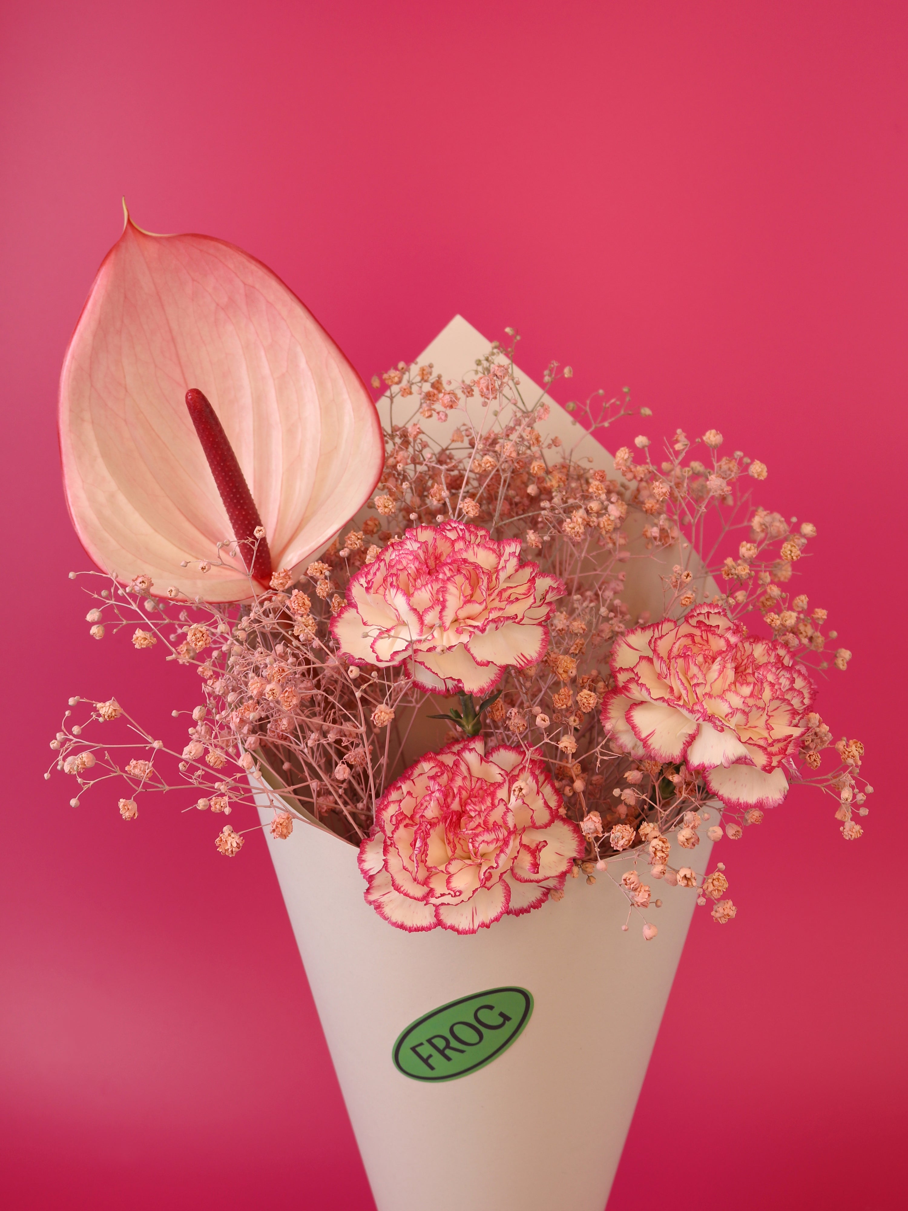 Raspberry Ripple