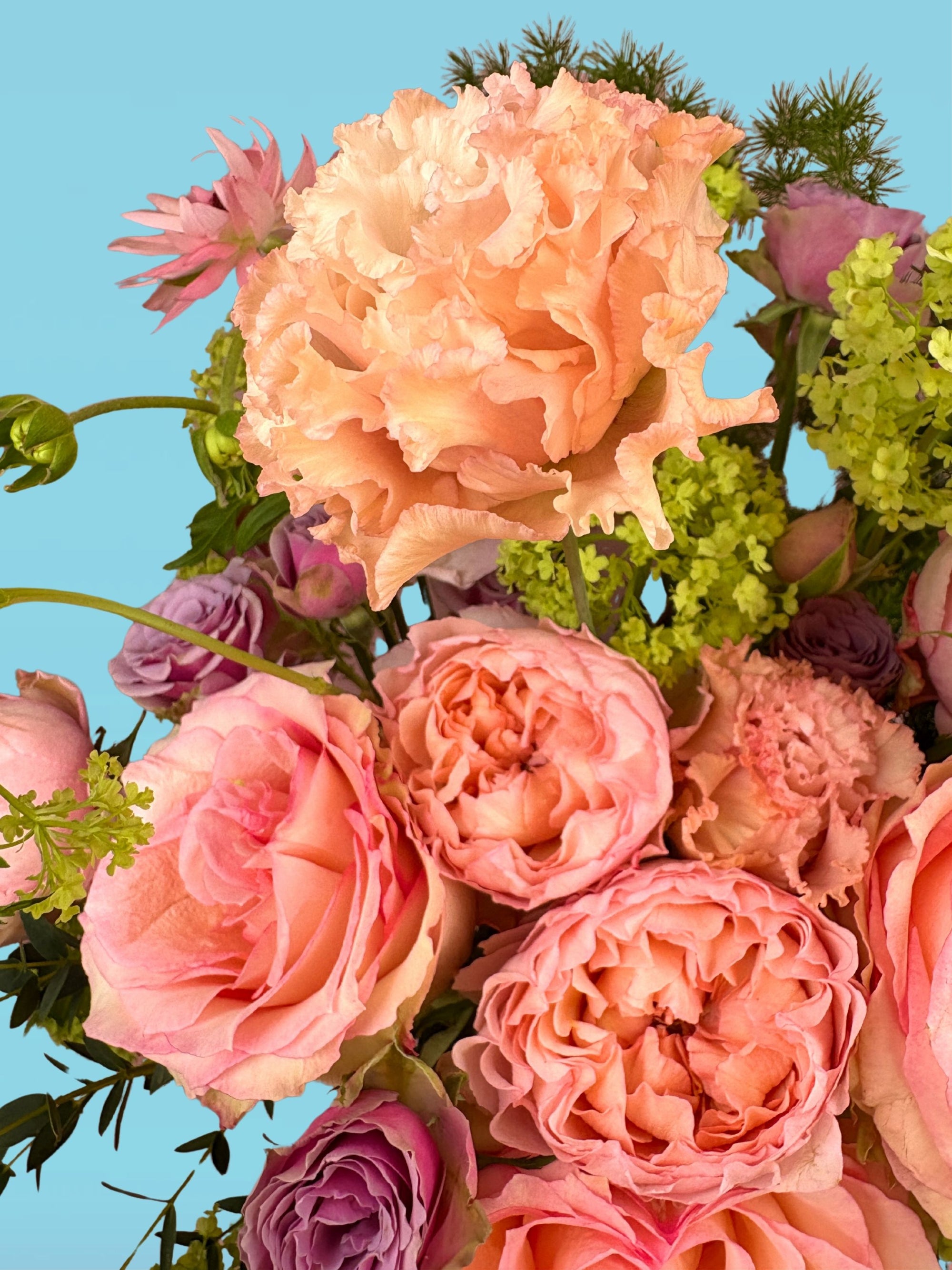 Blush Voltage - Mother's Day Preorder