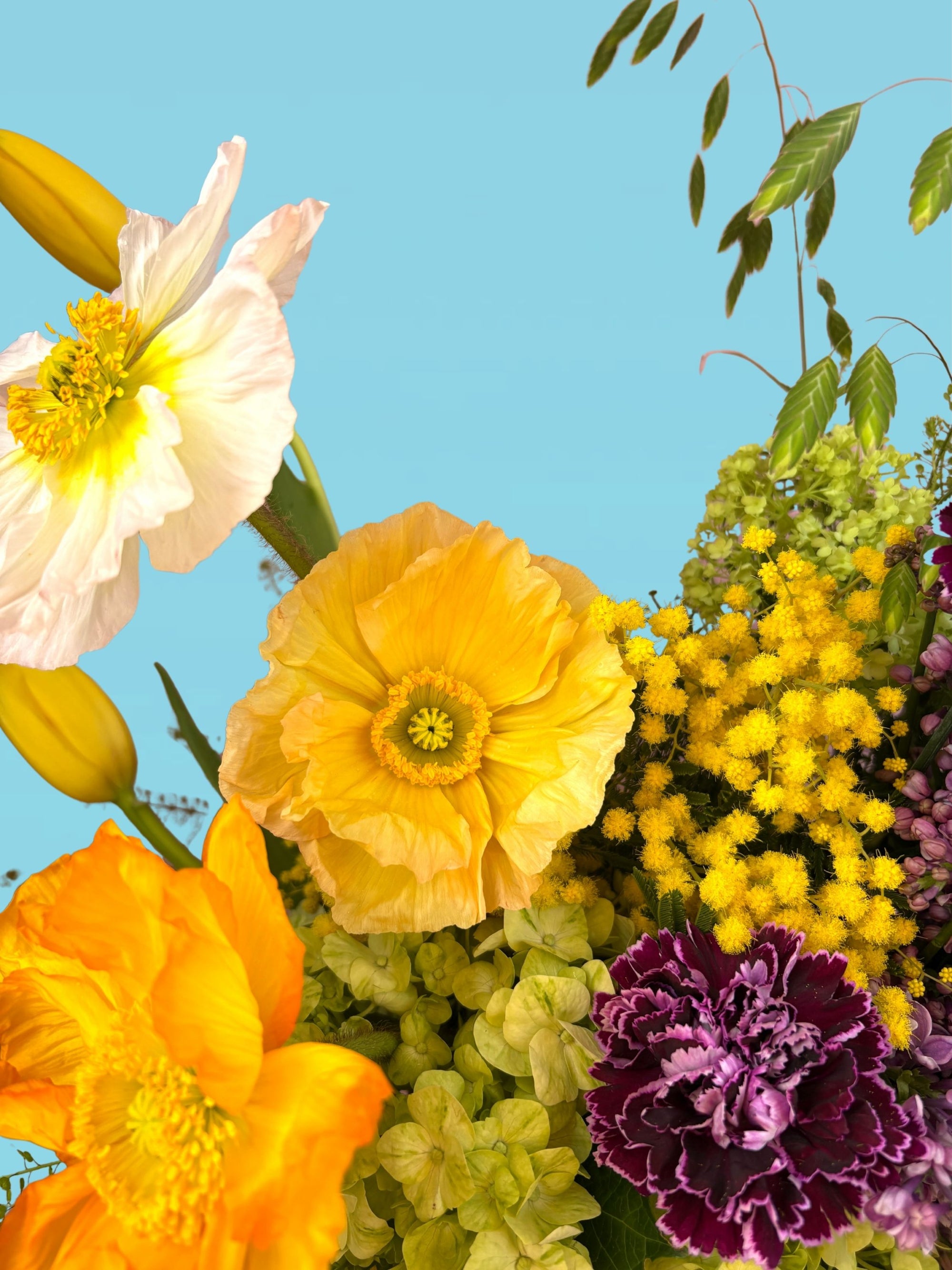 Chartreuse Crush - Mother's Day Preorder