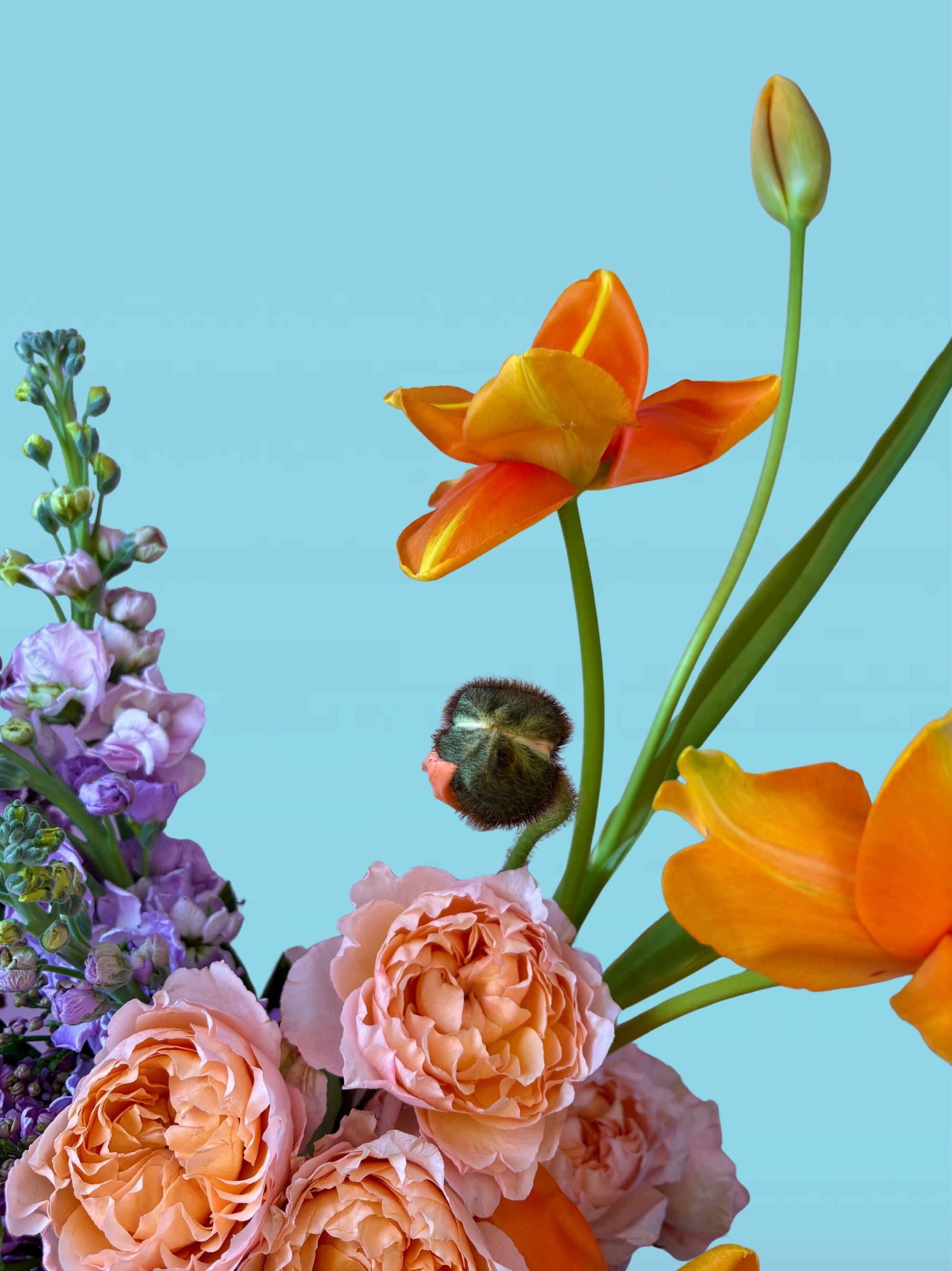 Golden Hour - Mother's Day Preorder