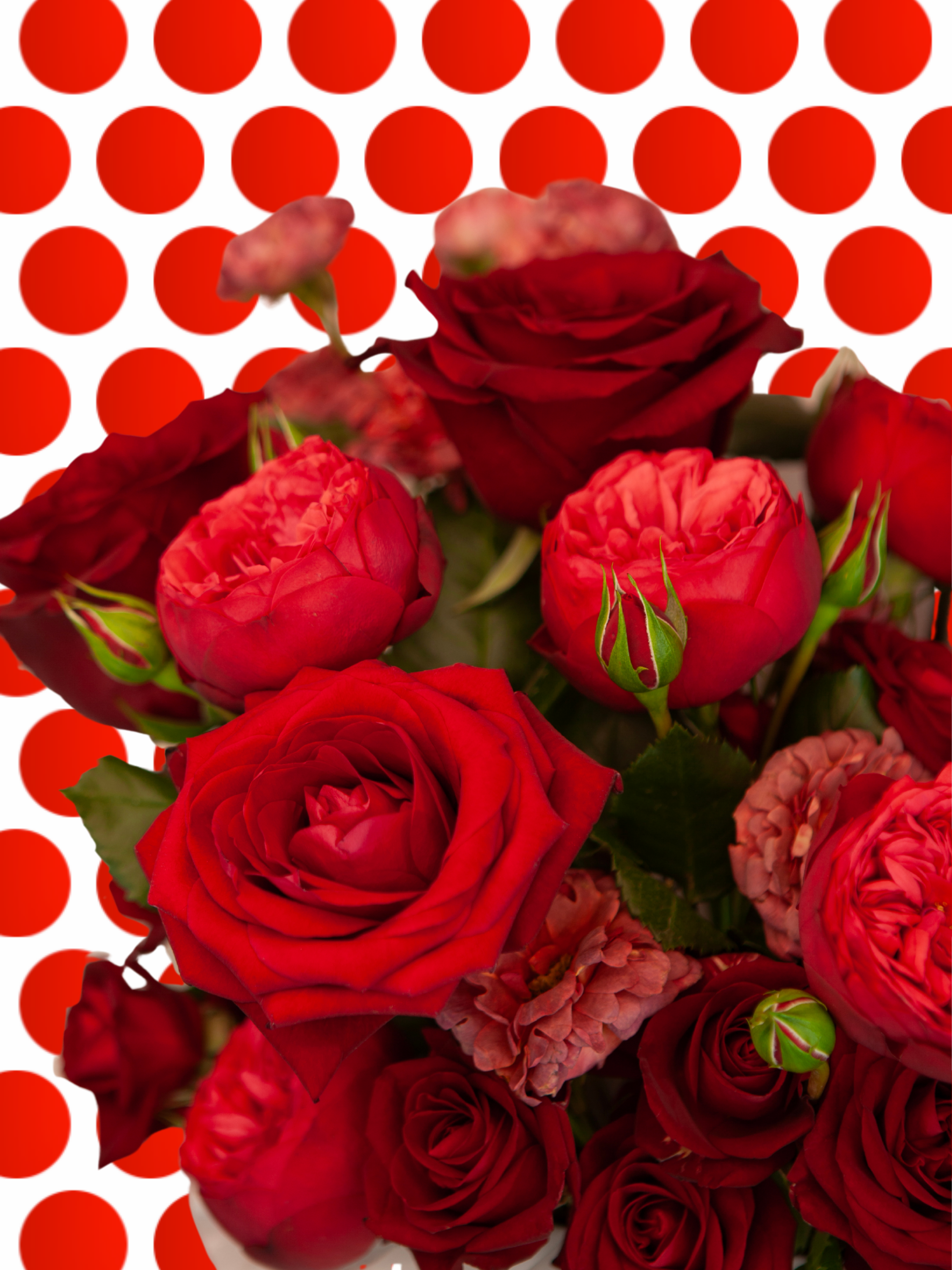 Hot for You - Valentine's Preorder