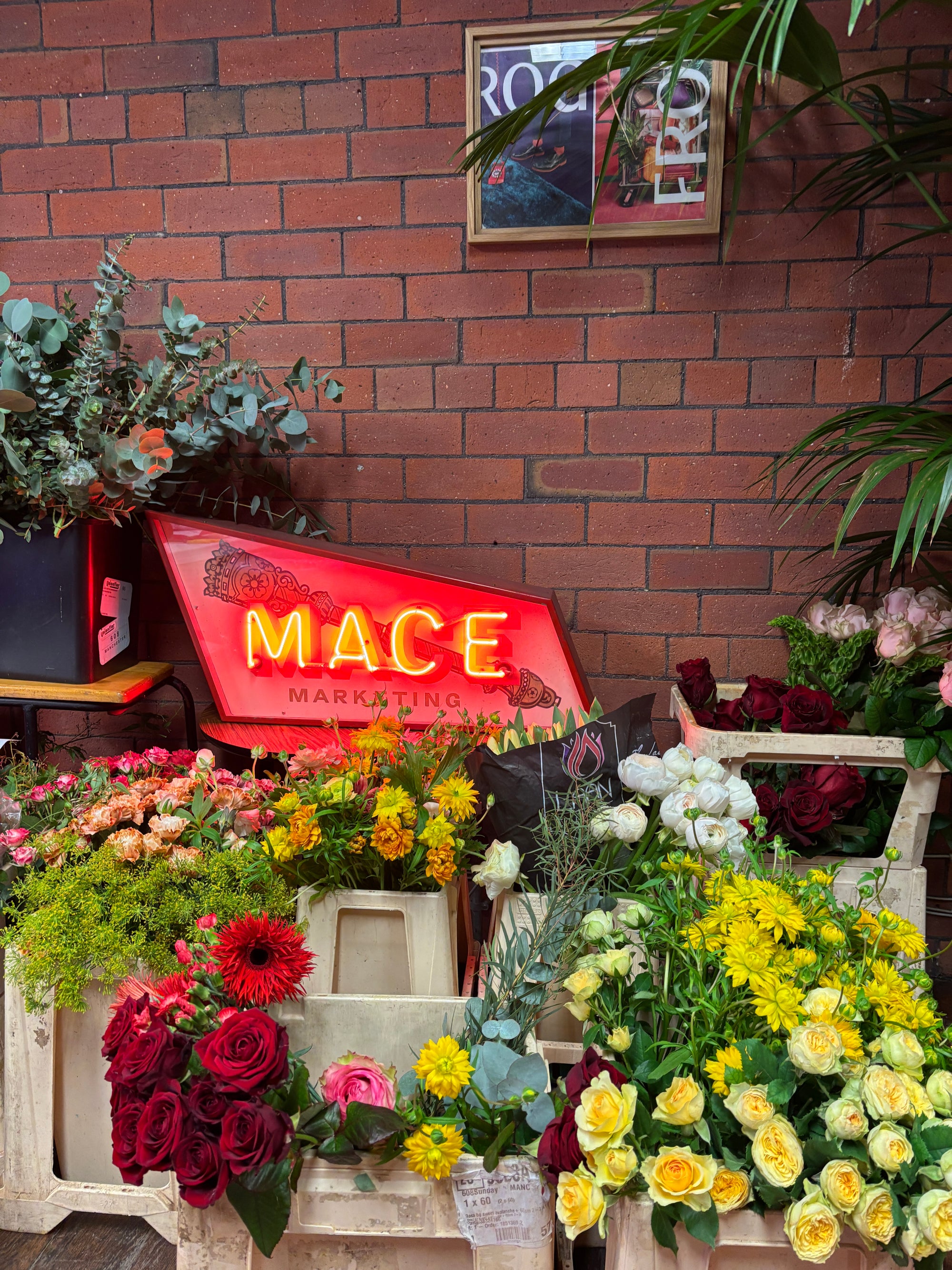 A floral studio setting with an array of flowers and greenery arranged, including a prominent red sign with the name 'MACE' in white letters.
